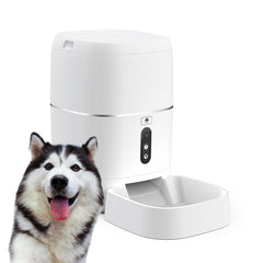 Smart Pet Automatic Feeder Water Feeder